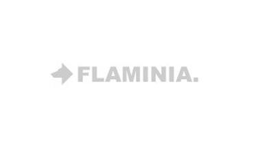 ceramica-flaminia